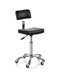 Master stool with back rest...