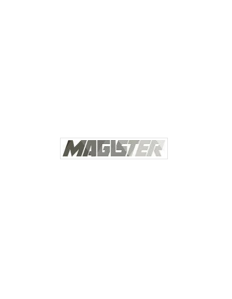 MAGISTER PROFESSIONAL